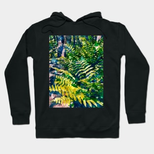 Ferns in the forest Hoodie